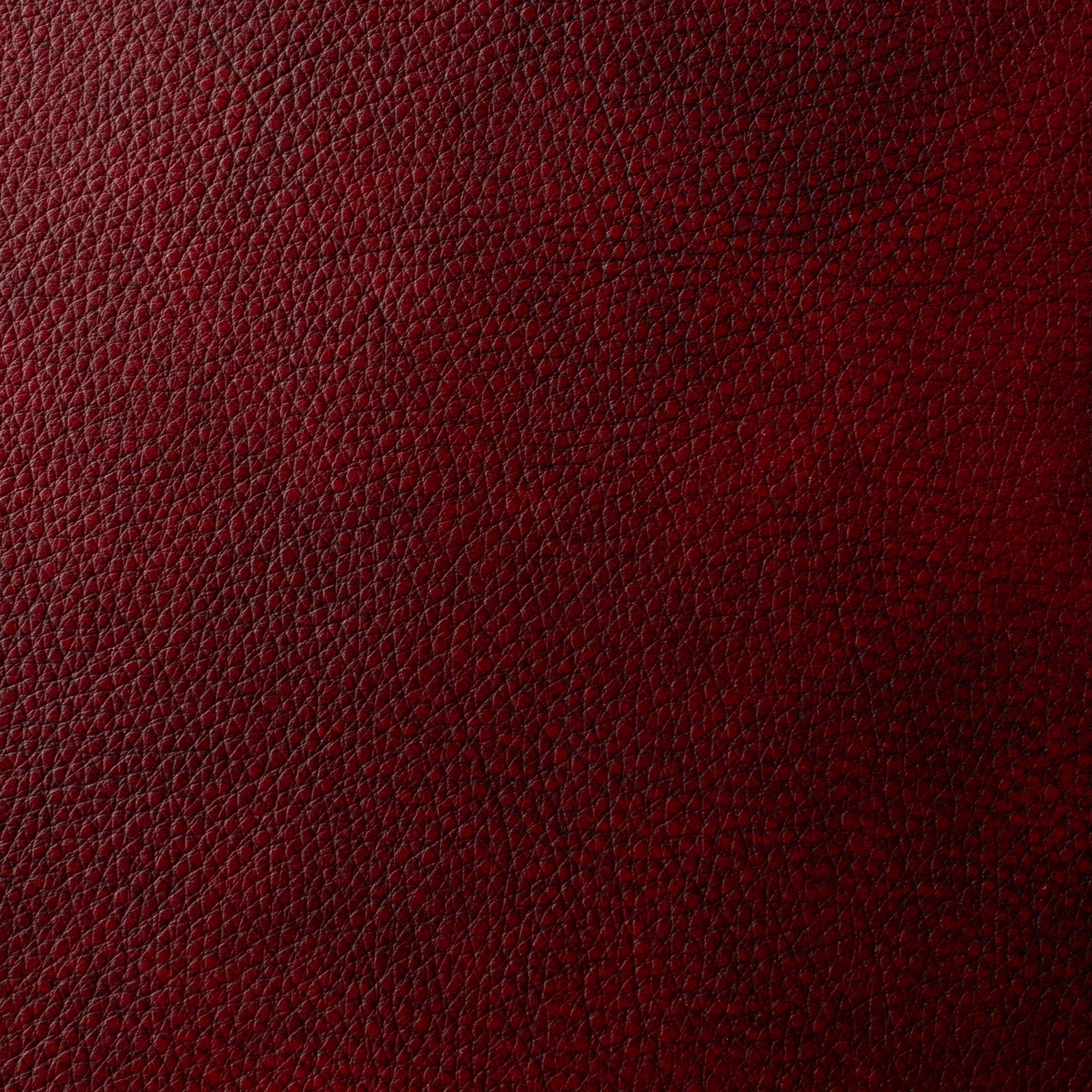 The Hide Life - Bordeaux