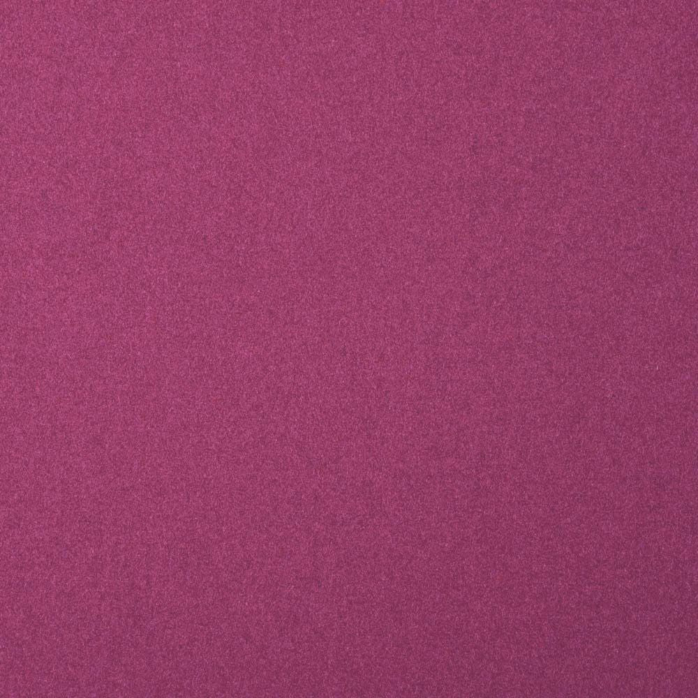 Arthur's Seat Raspberry