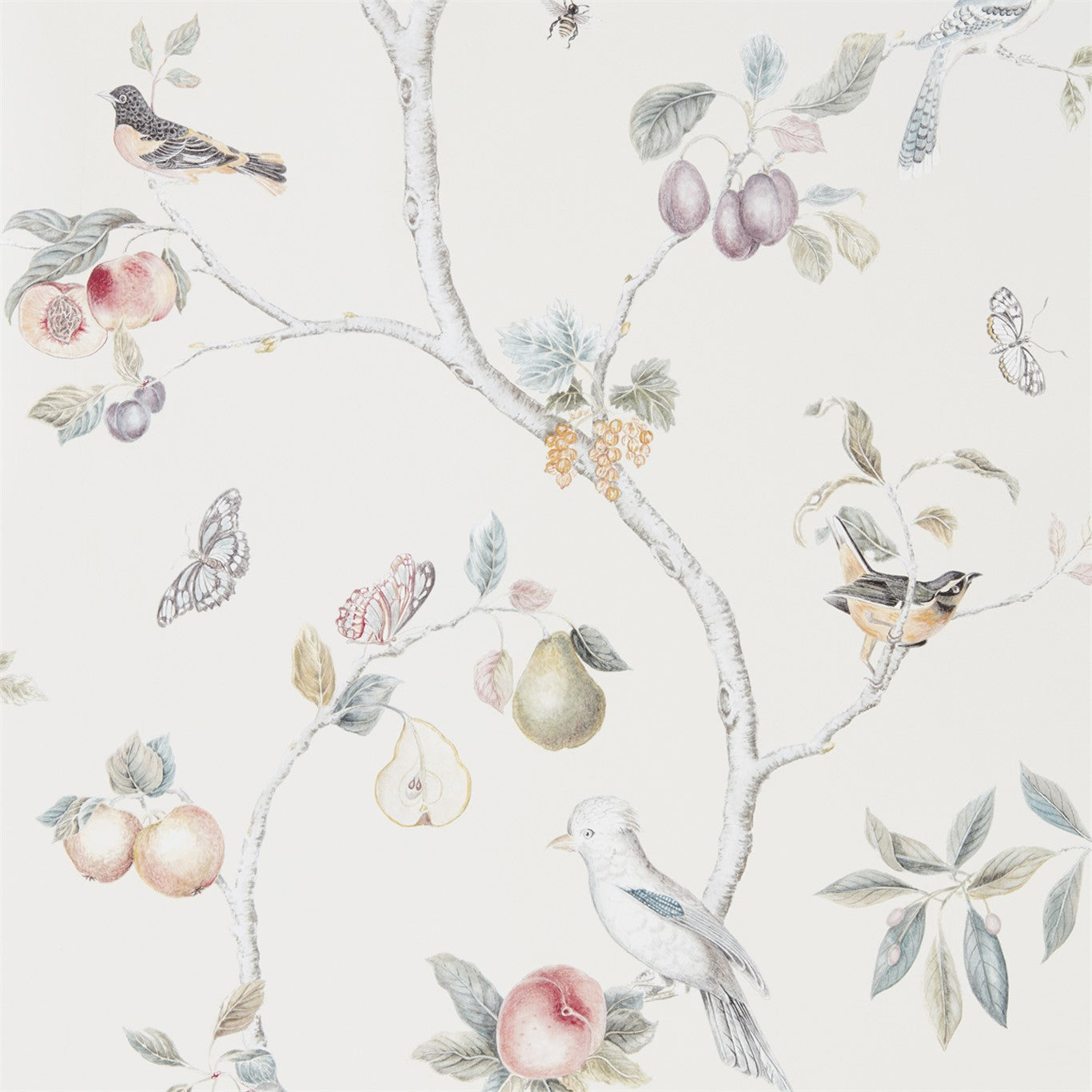 Fruit Aviary - Cream / Multi