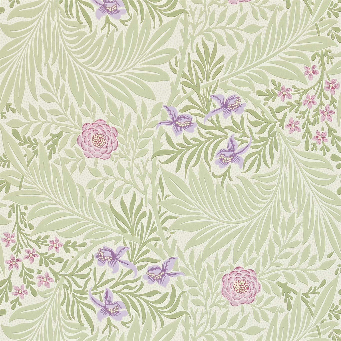 Larkspur - Olive / Lilac