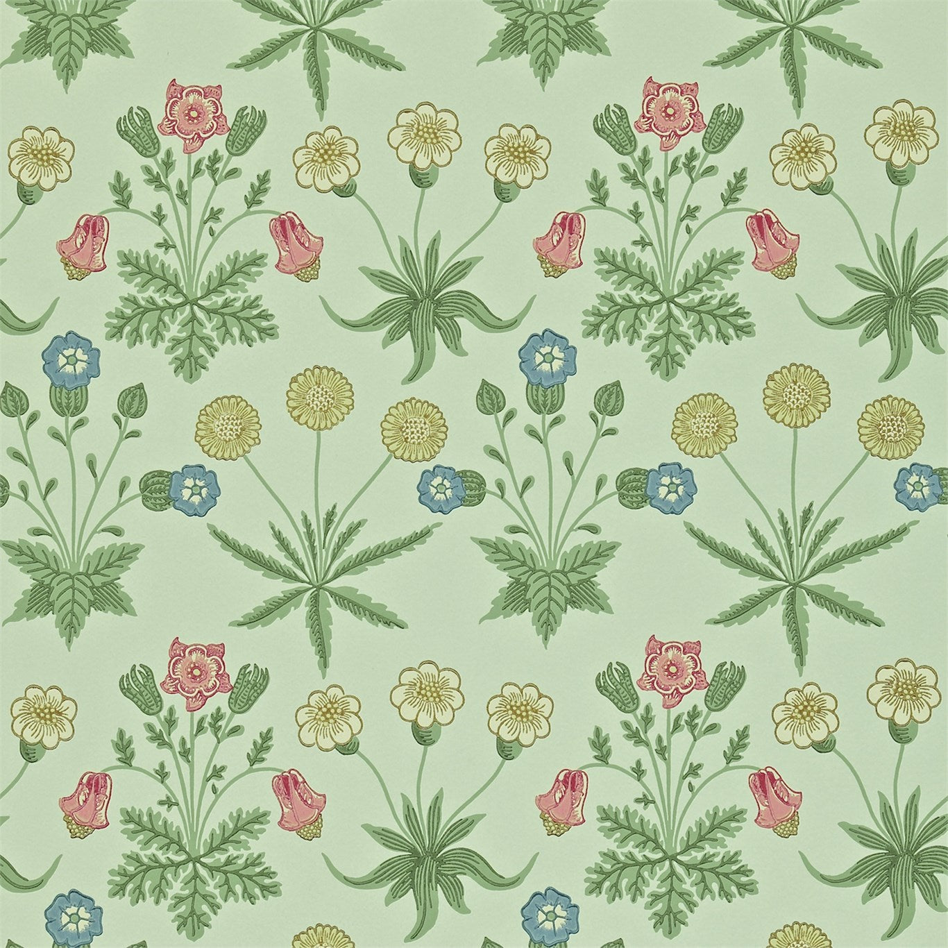 Daisy - Pale Green / Rose