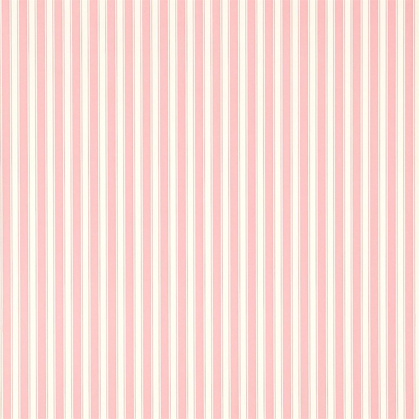 New Tiger Stripe - Rose / Ivory