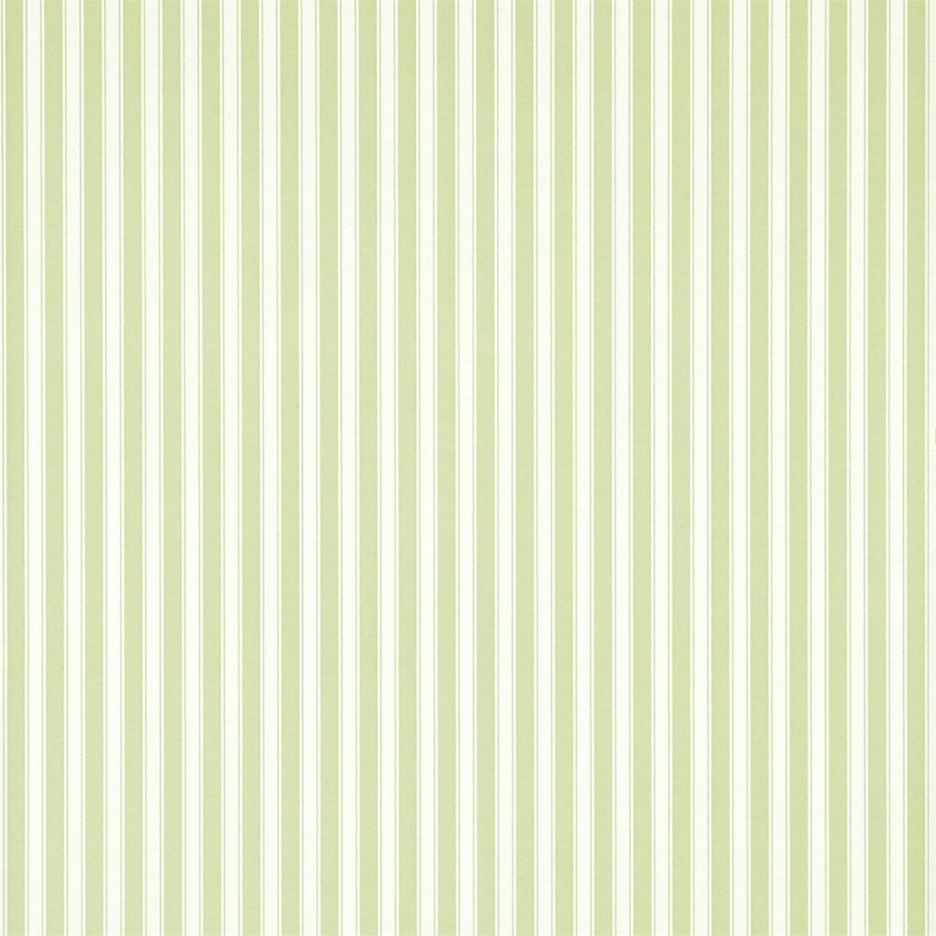 New Tiger Stripe - Leaf Green / Ivory