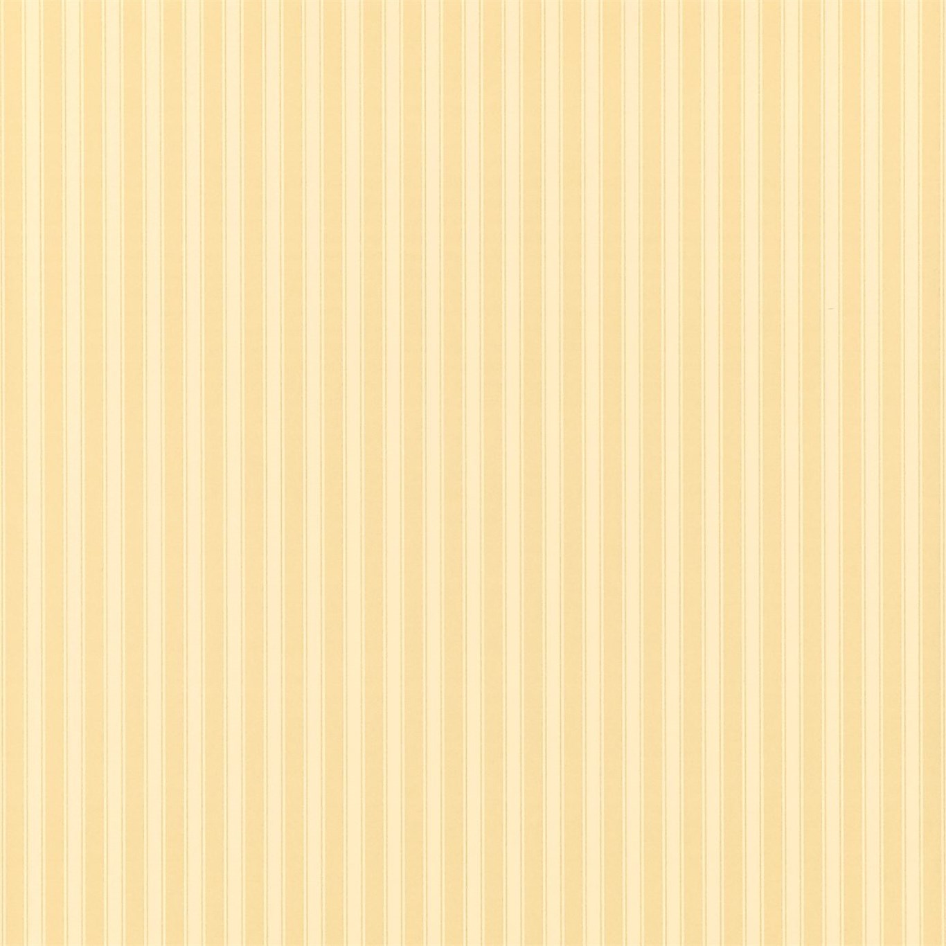 New Tiger Stripe - Honey / Cream