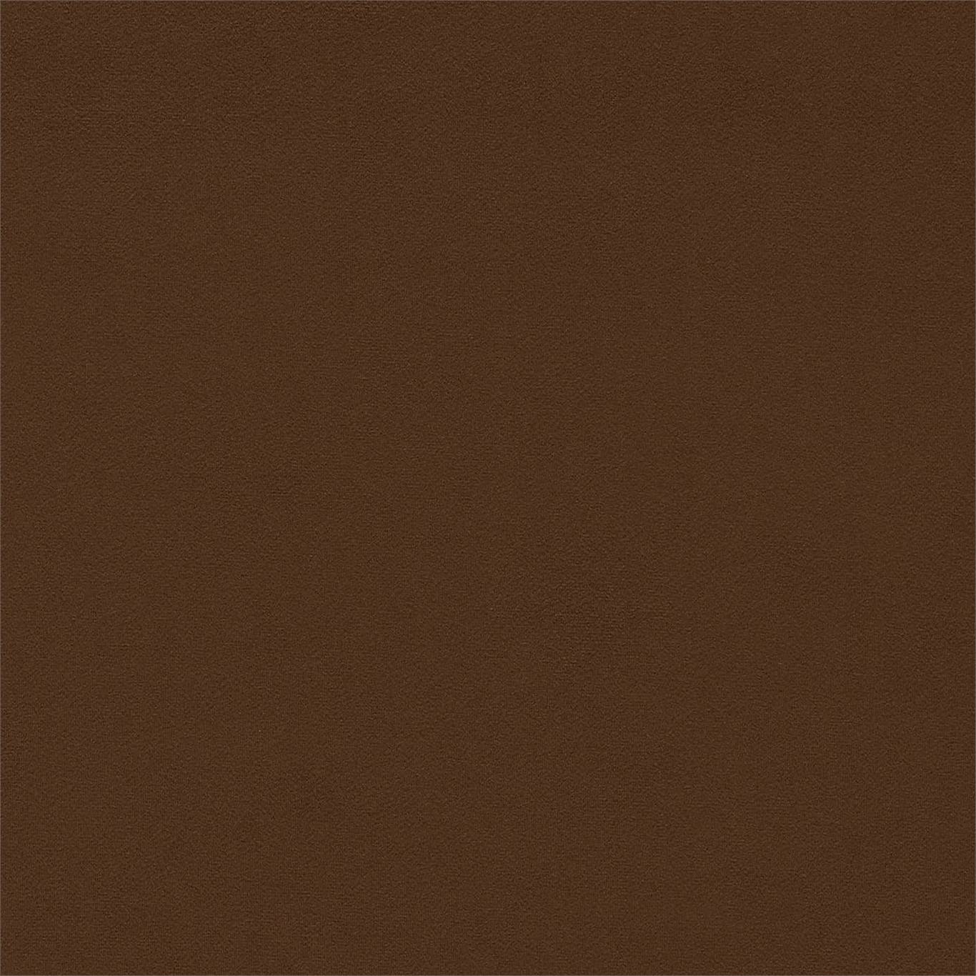 Dorton - Dorton Cocoa