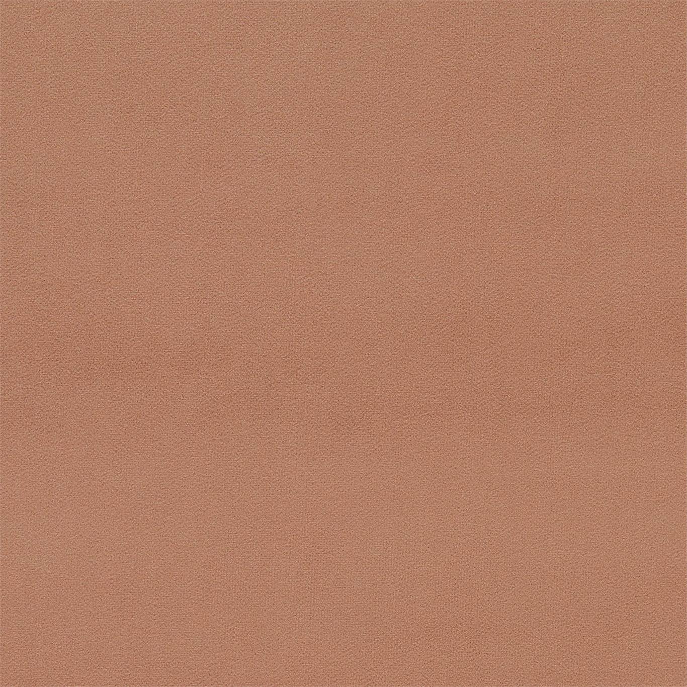 Dorton - Dorton Auburn