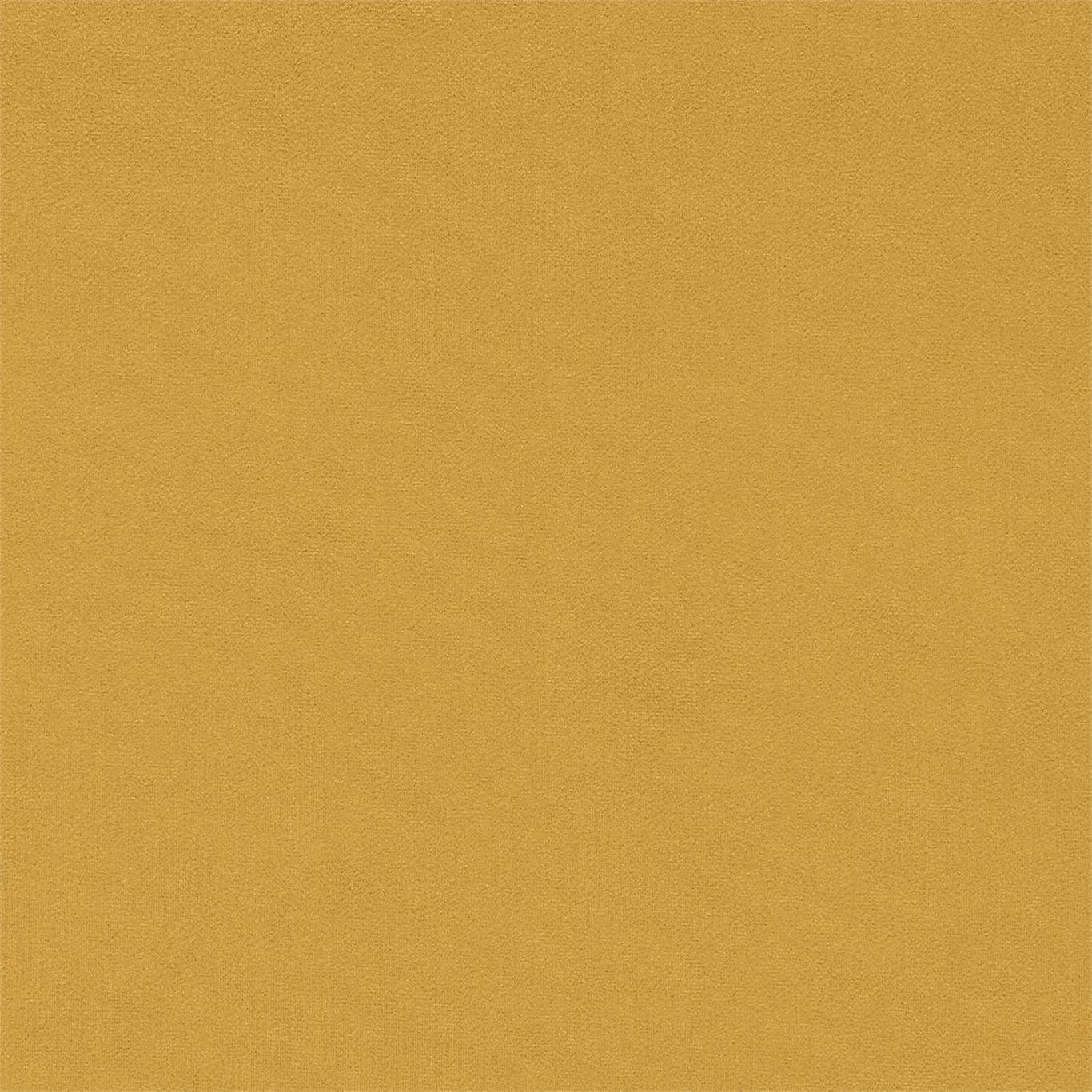 Dorton - Dorton Saffron