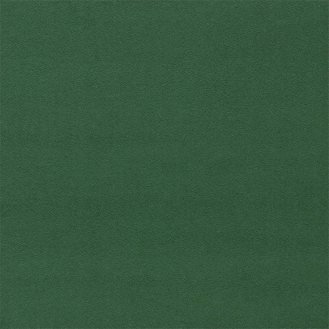 Dorton - Dorton Chive