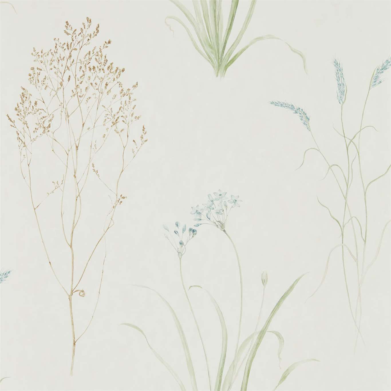 Farne Grasses - Cream / Sage