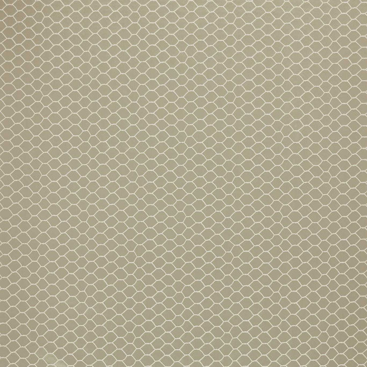 Bantam Net - Antonius