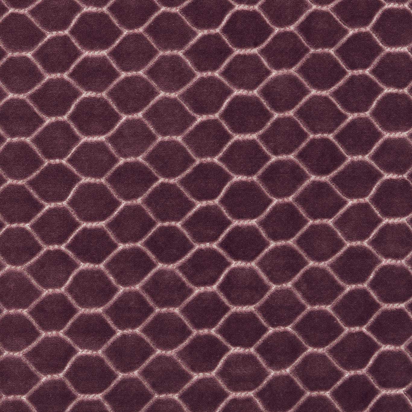 Faraday Velvet - Plum