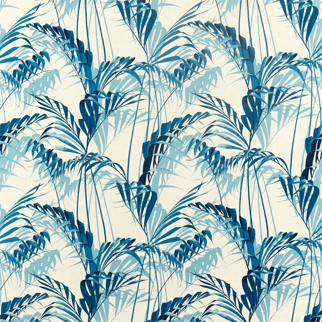 Palm House - Eucalyptus