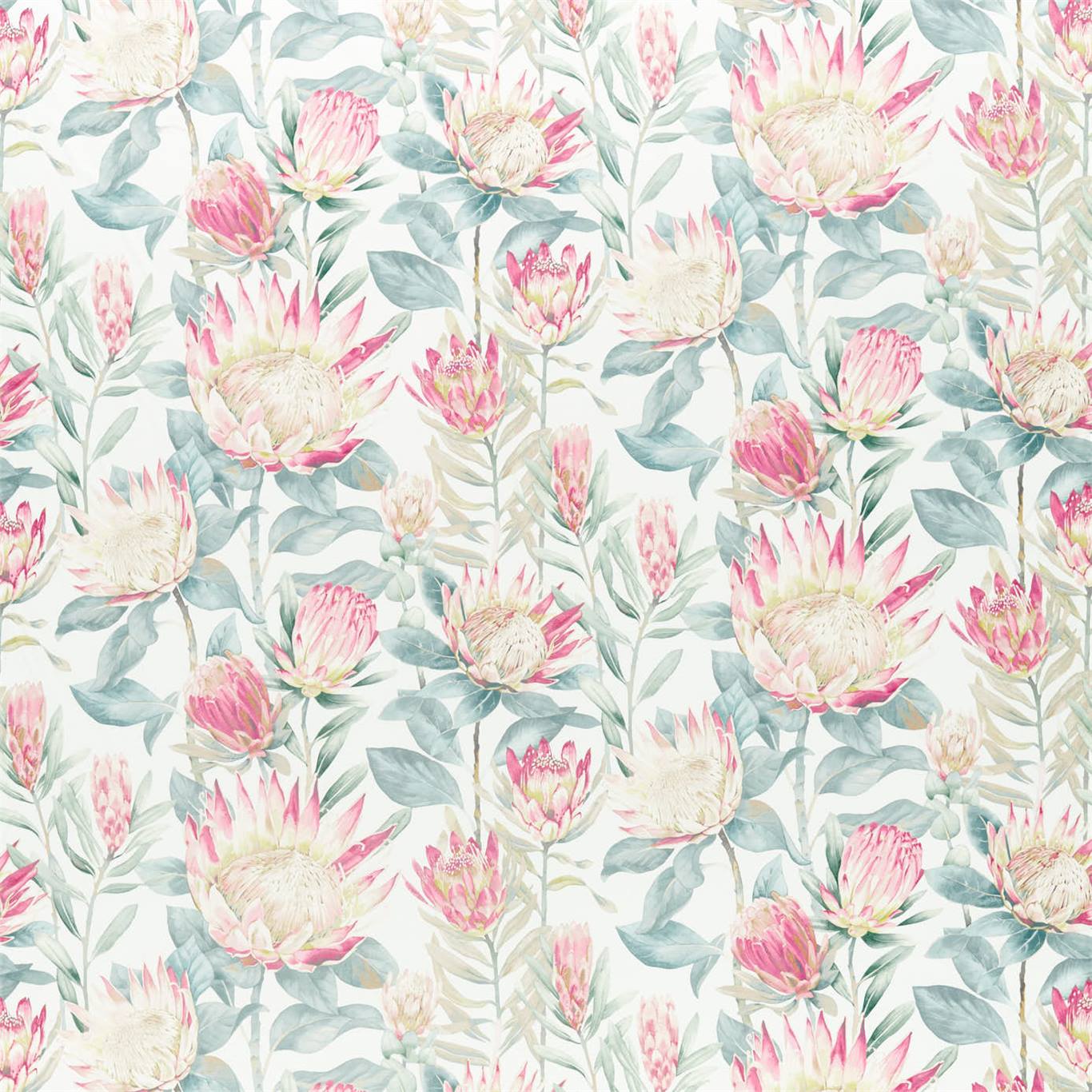 King Protea - Orchid / Grey