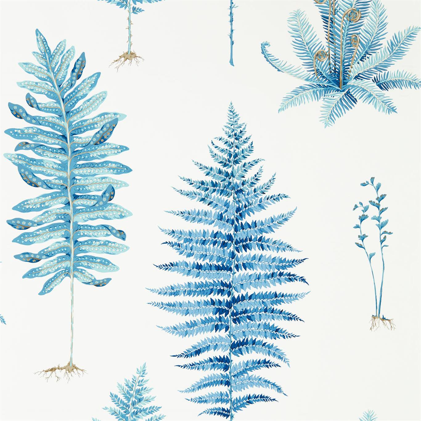 Fernery - China Blue