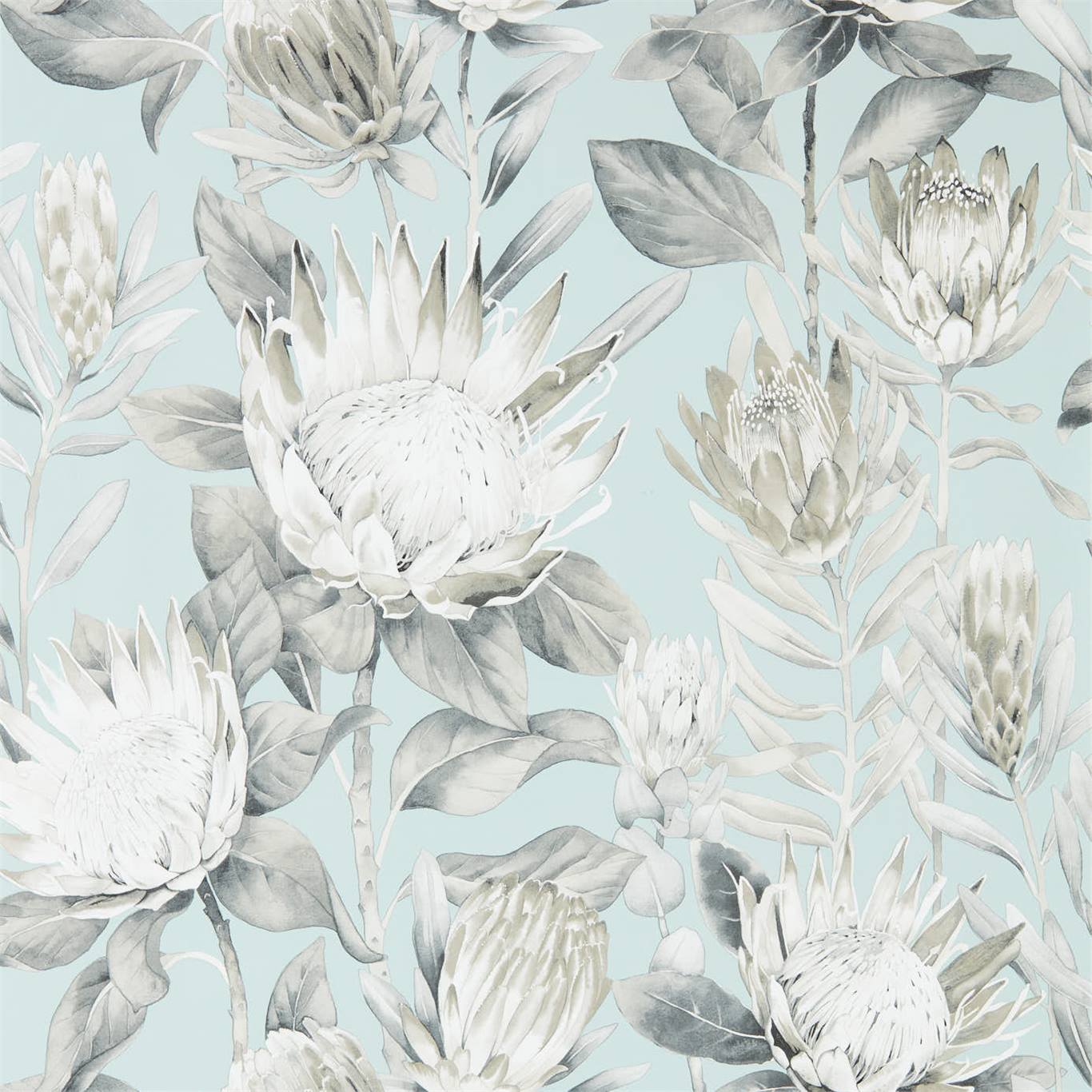 King Protea - Aqua / Linen