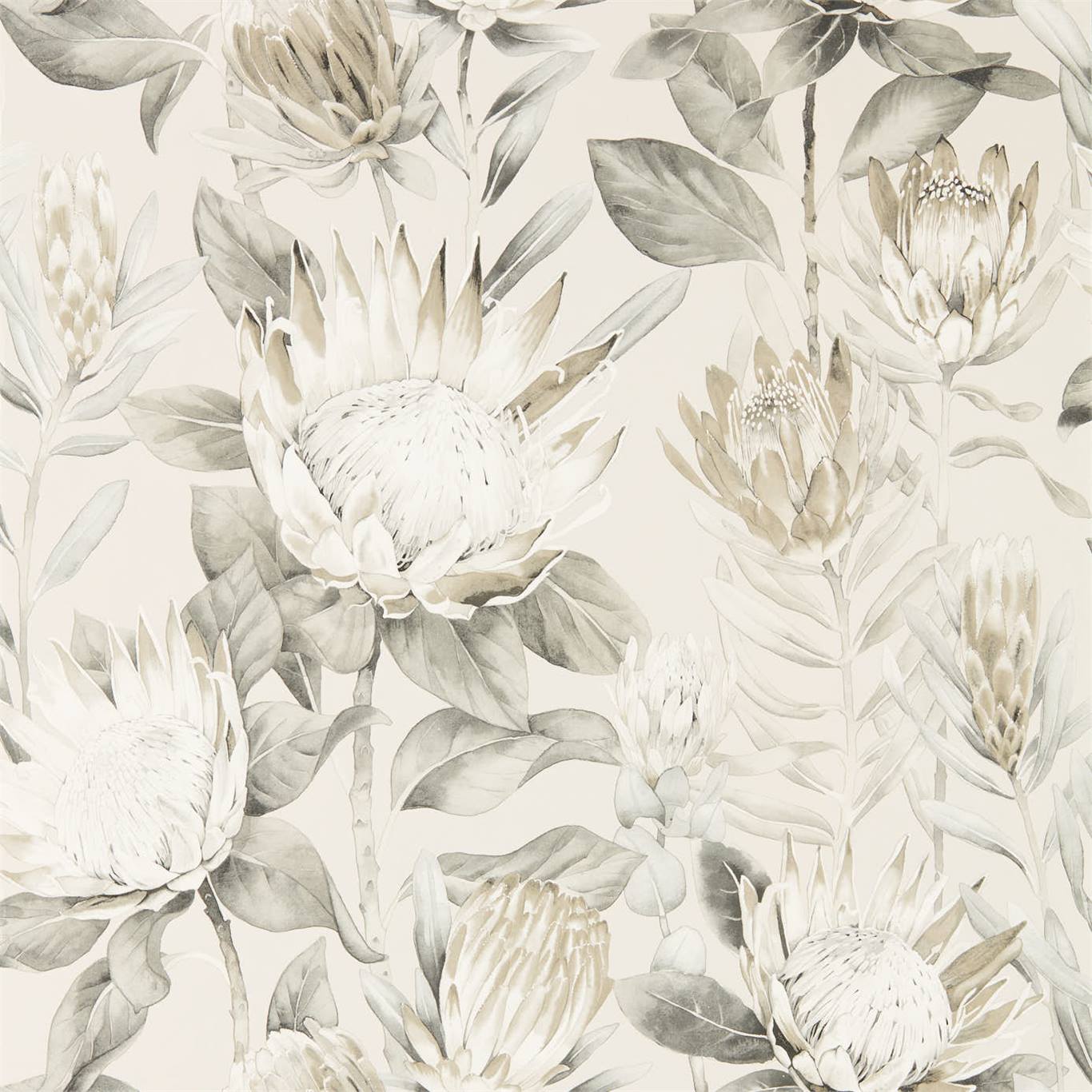 King Protea - Linen / Mica