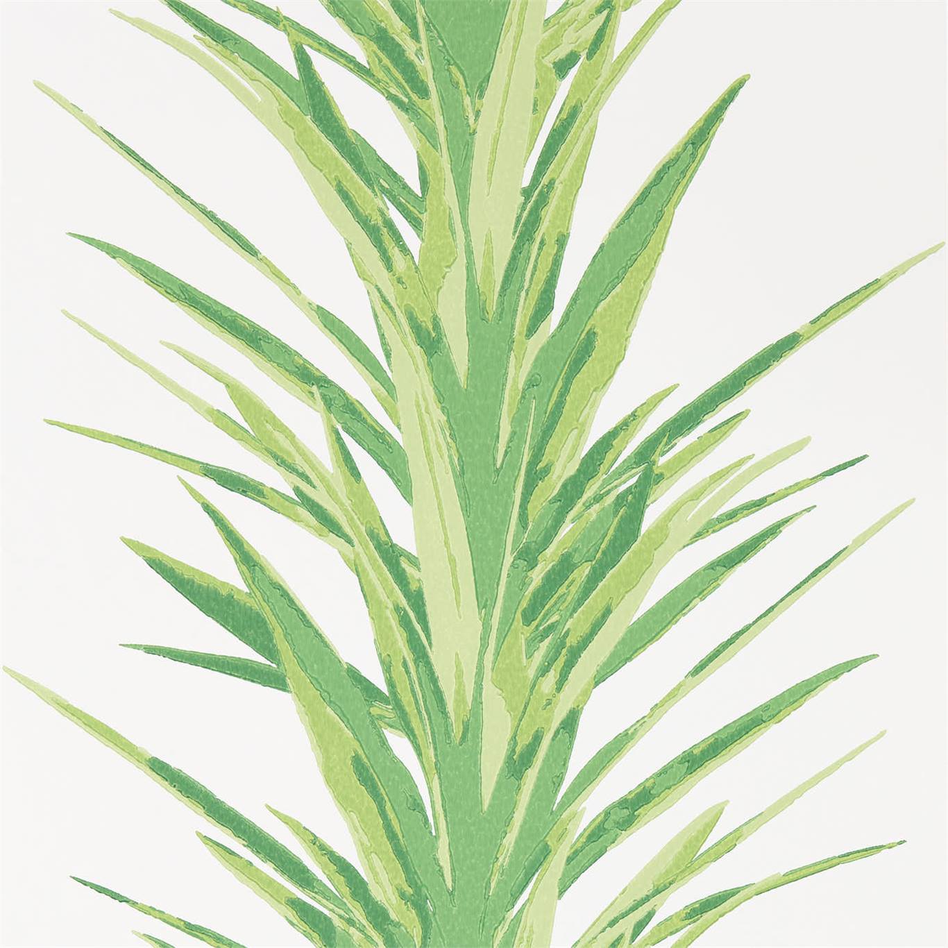 Yucca - Botanical Green