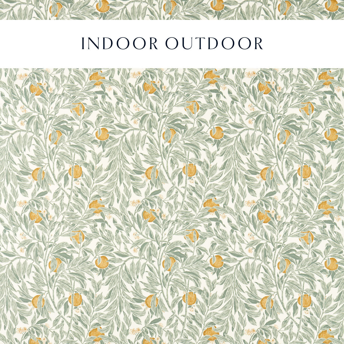 Ancient Apple Orchard - Golden Knot and Sage