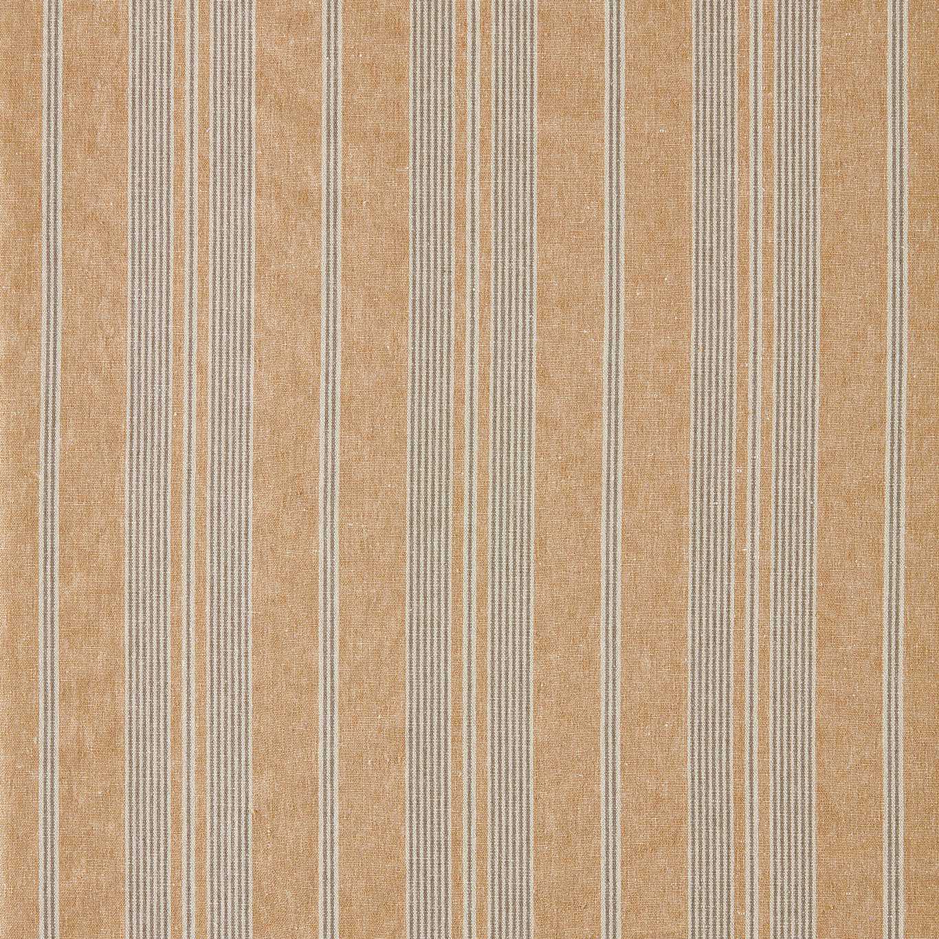 Amberley Stripe - Golden Knot
