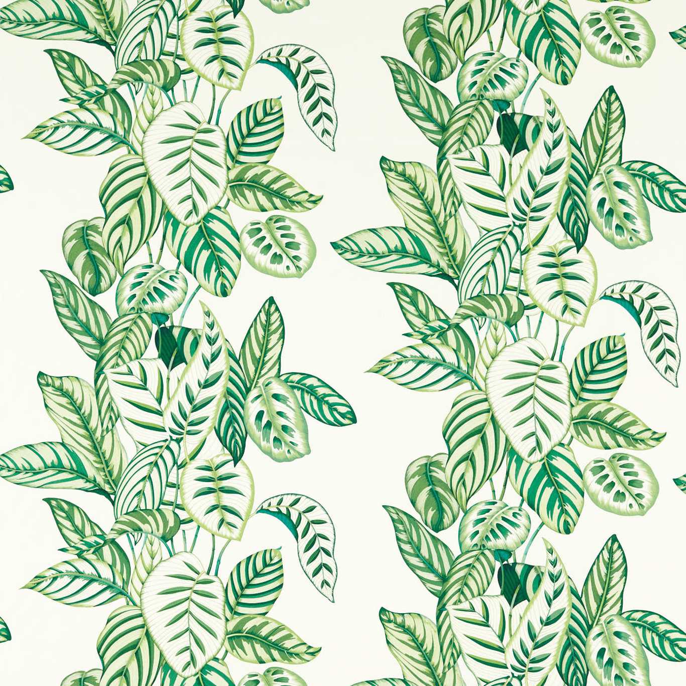 Calathea - Botanical Green (Outdoor)