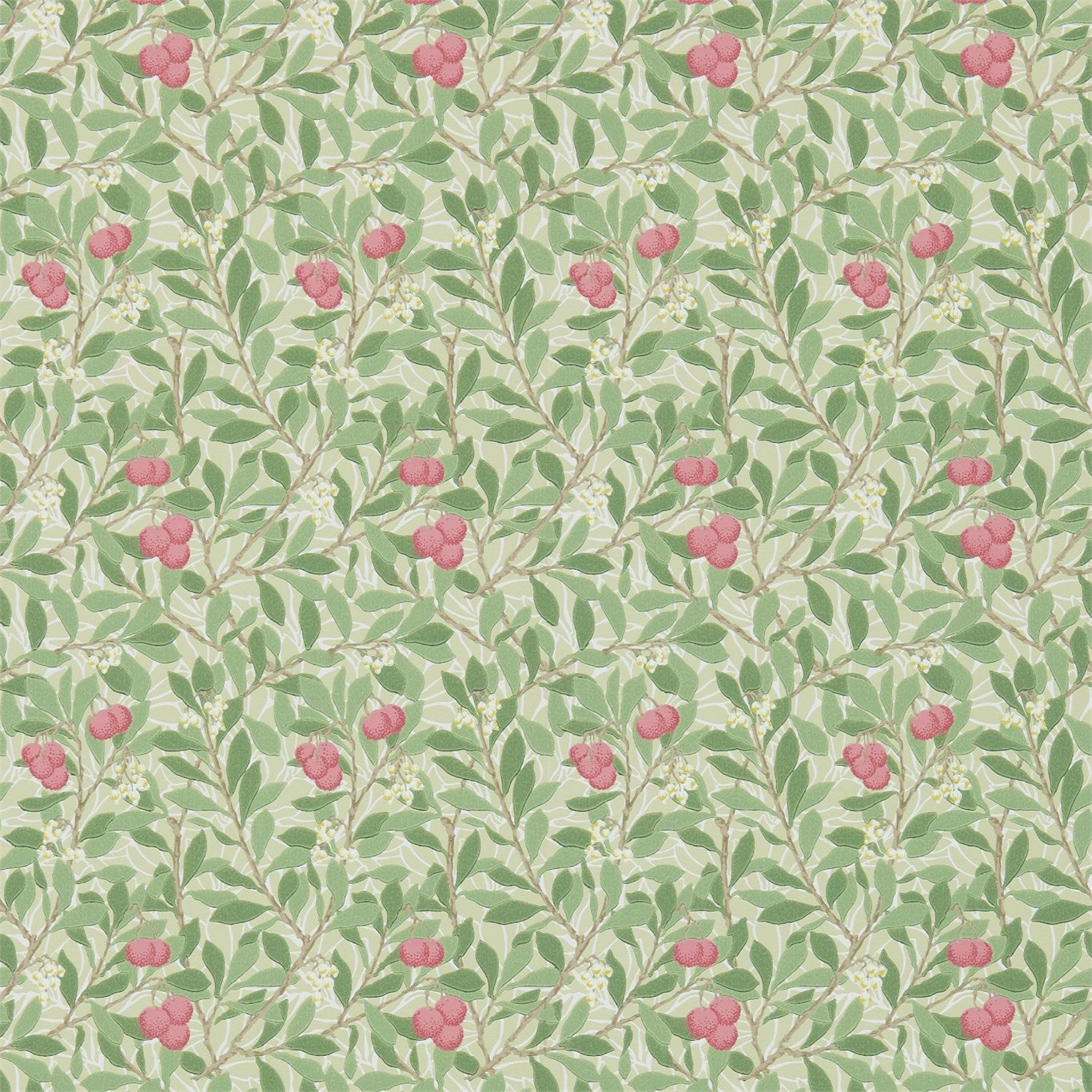 Arbutus - Olive / Pink