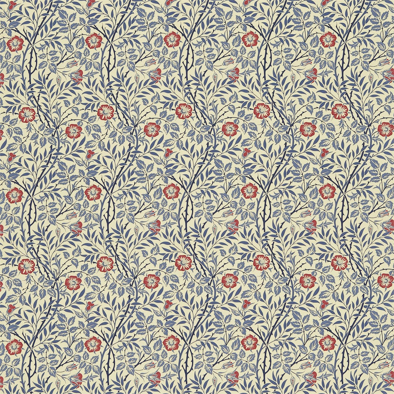 Sweet Briar - Indigo / Red