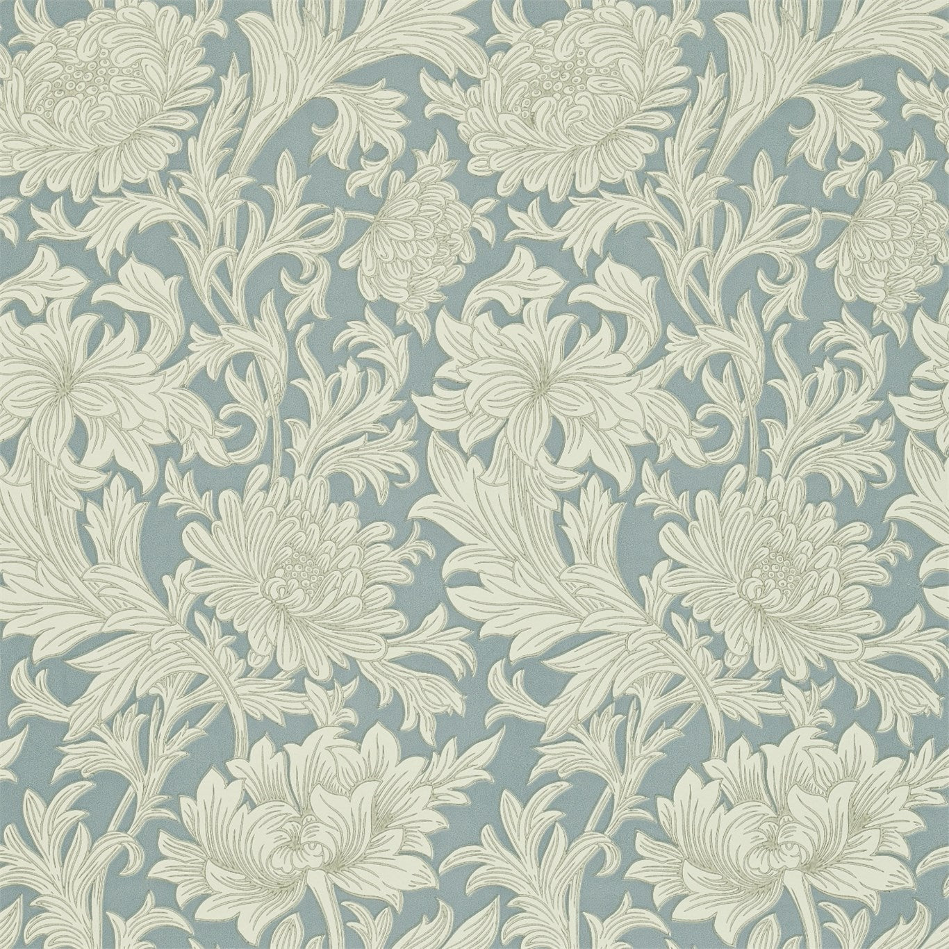 Chrysanthemum - China Blue / Cream