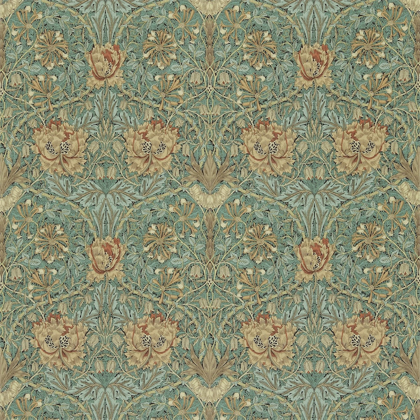 Honeysuckle & Tulip - Privet / Honeycombe