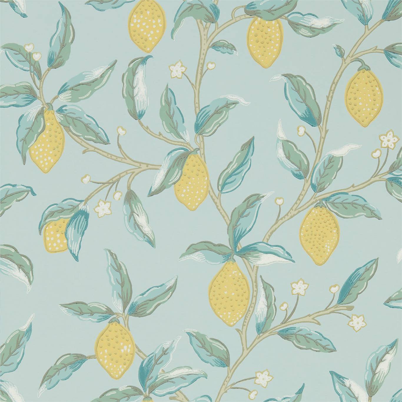 Lemon Tree - Wedgewood