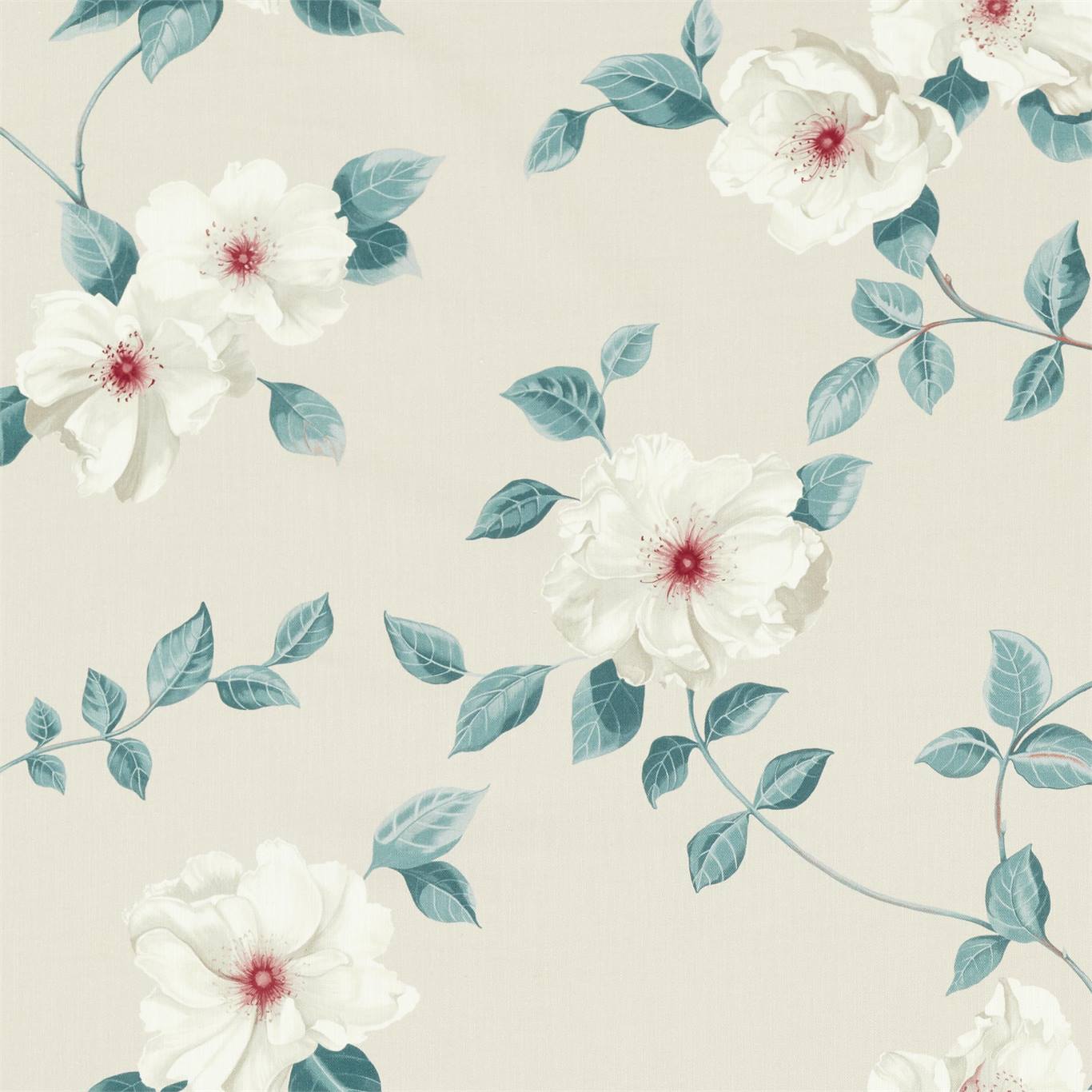Poet's Rose - Blush