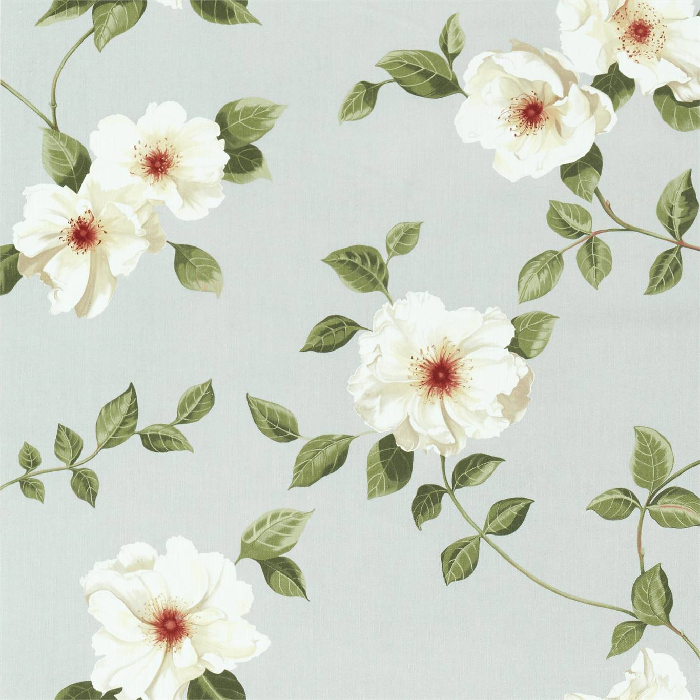 Poet's Rose - Scotch Grey