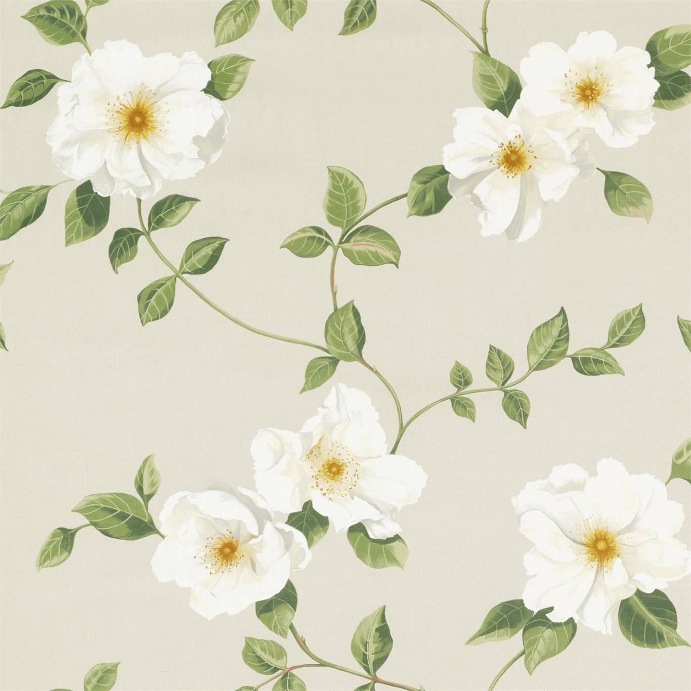 Poet's Rose - Linen