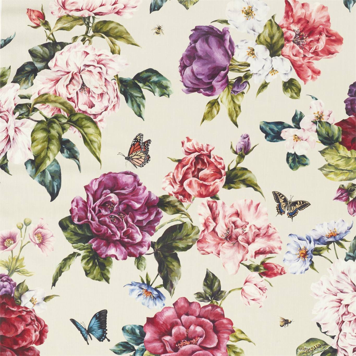 Summer Peony - Fuchshia / Rose