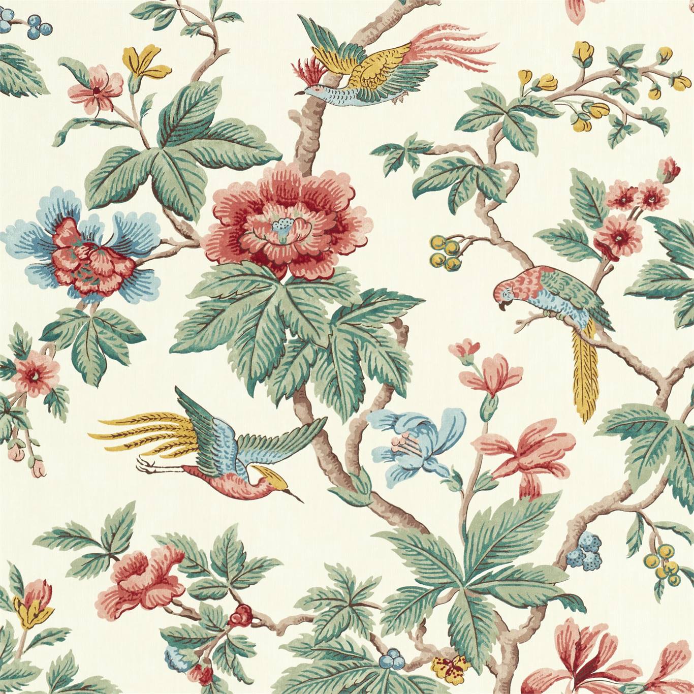 Lophura - Chintz