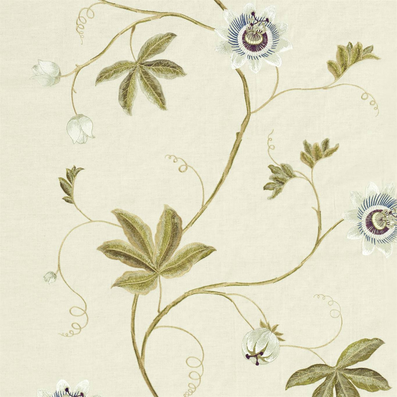 Passion Vine - Sage