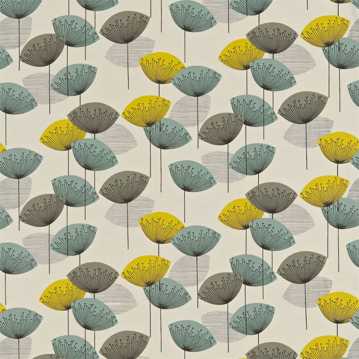 Dandelion Clocks - Chaffinch