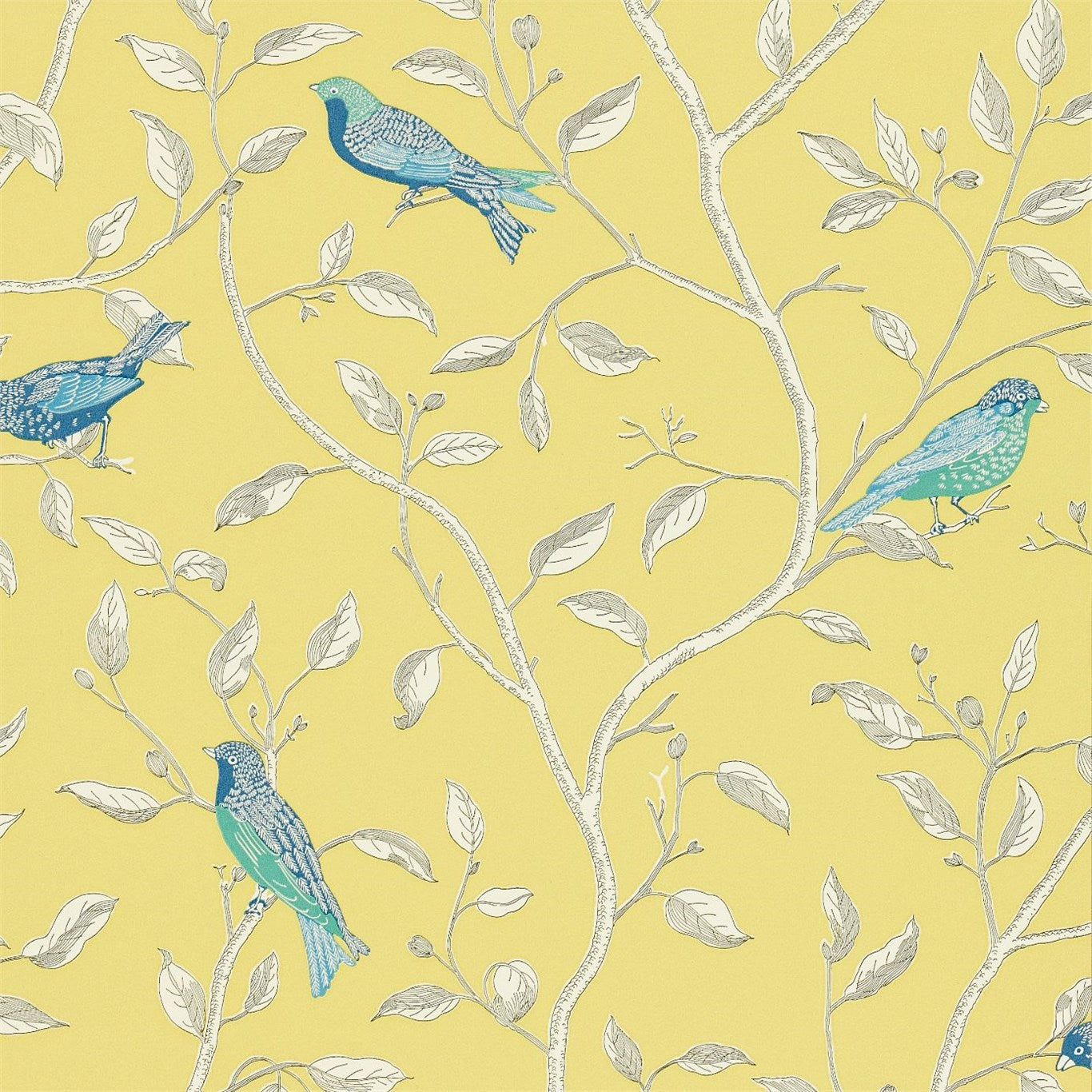 Finches - Yellow