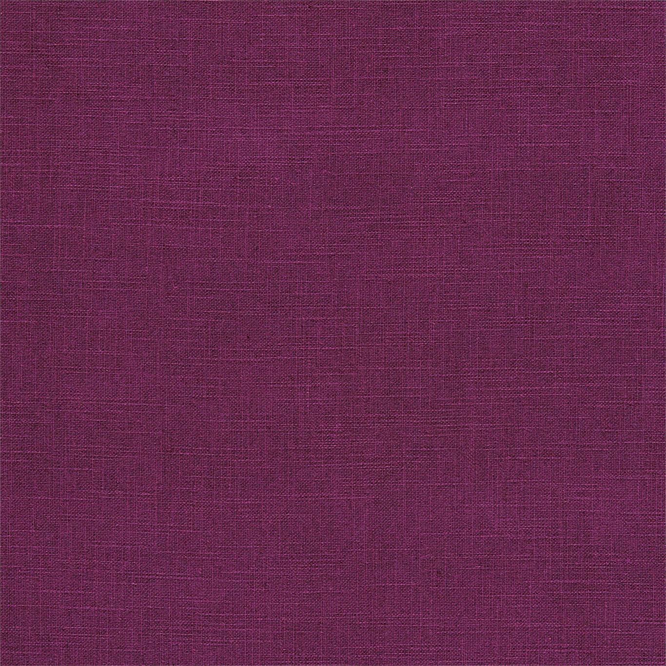 Tuscany II - Grape