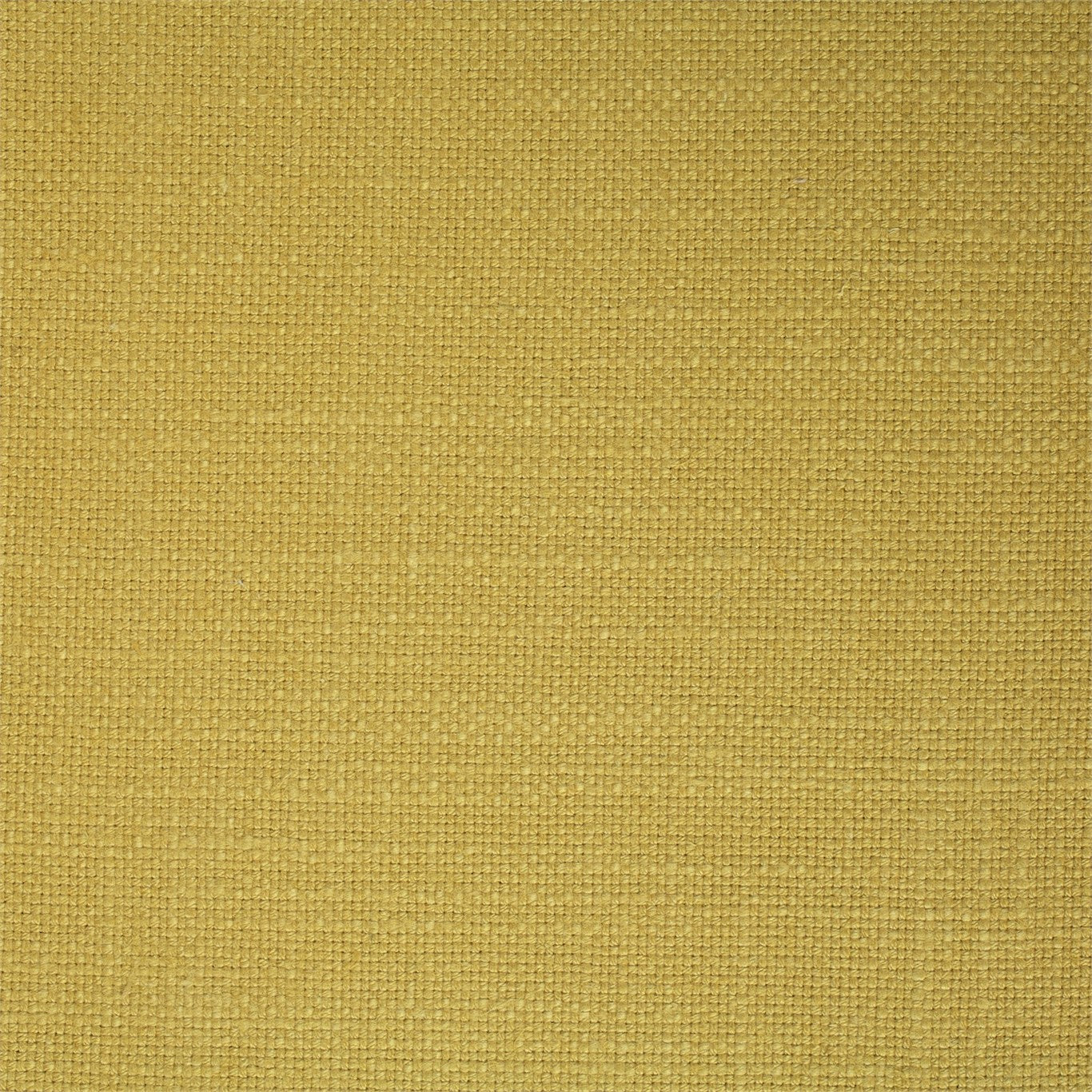 Tuscany - Sunflower Yellow