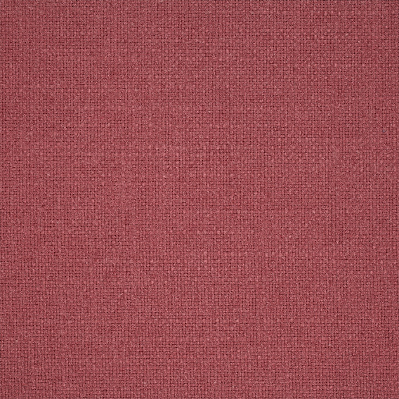 Tuscany - Dusky Rose