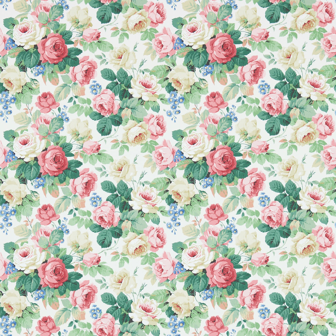 Chelsea - White / Pink