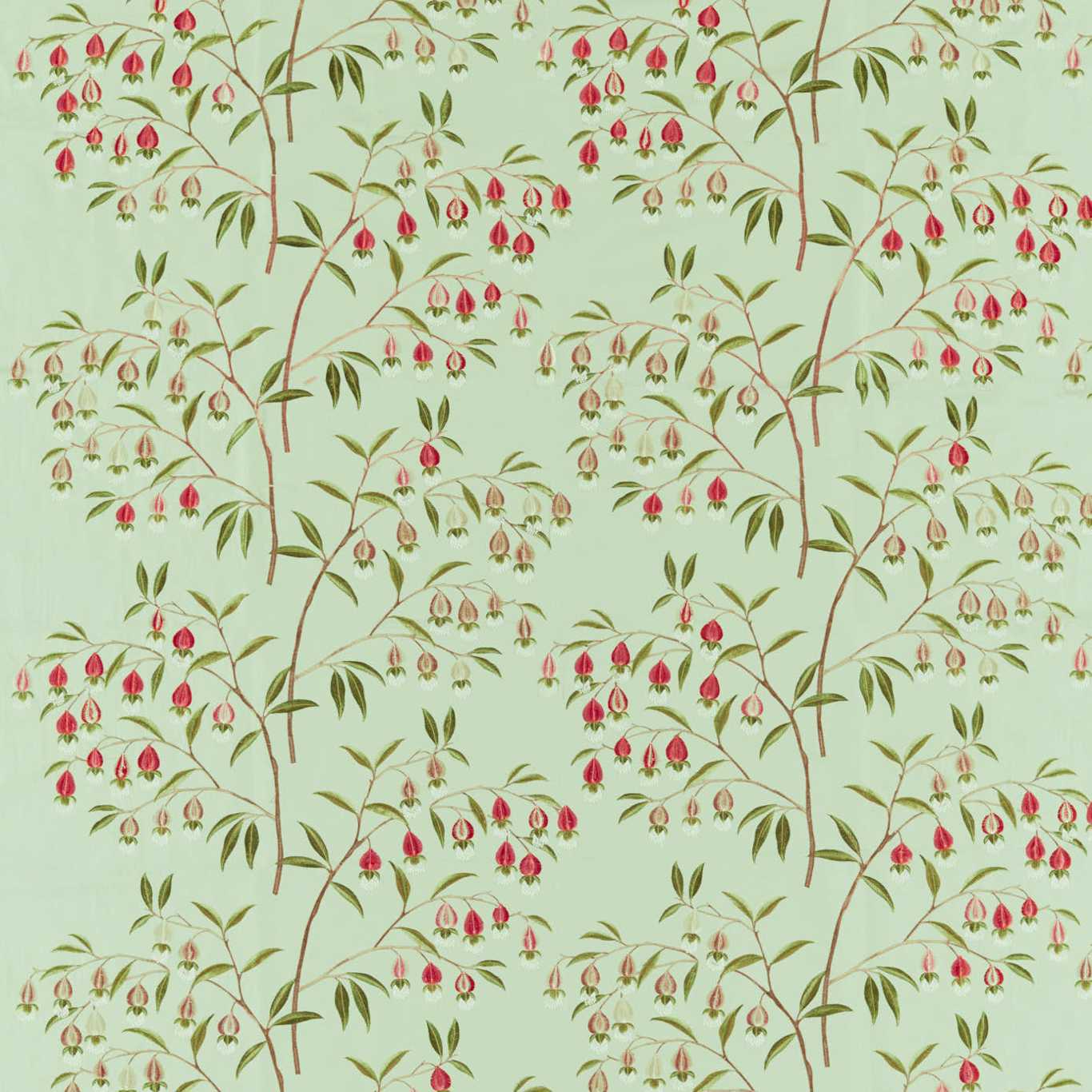 Chinese Lantern - Mint & Apricot