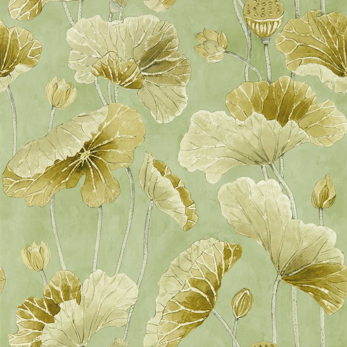Lotus Leaf - Oriental Green / Olive