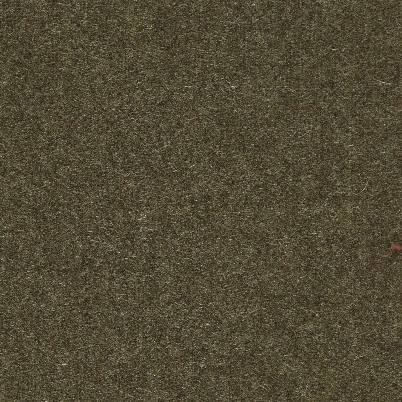 Byron Wool Plains - Moss