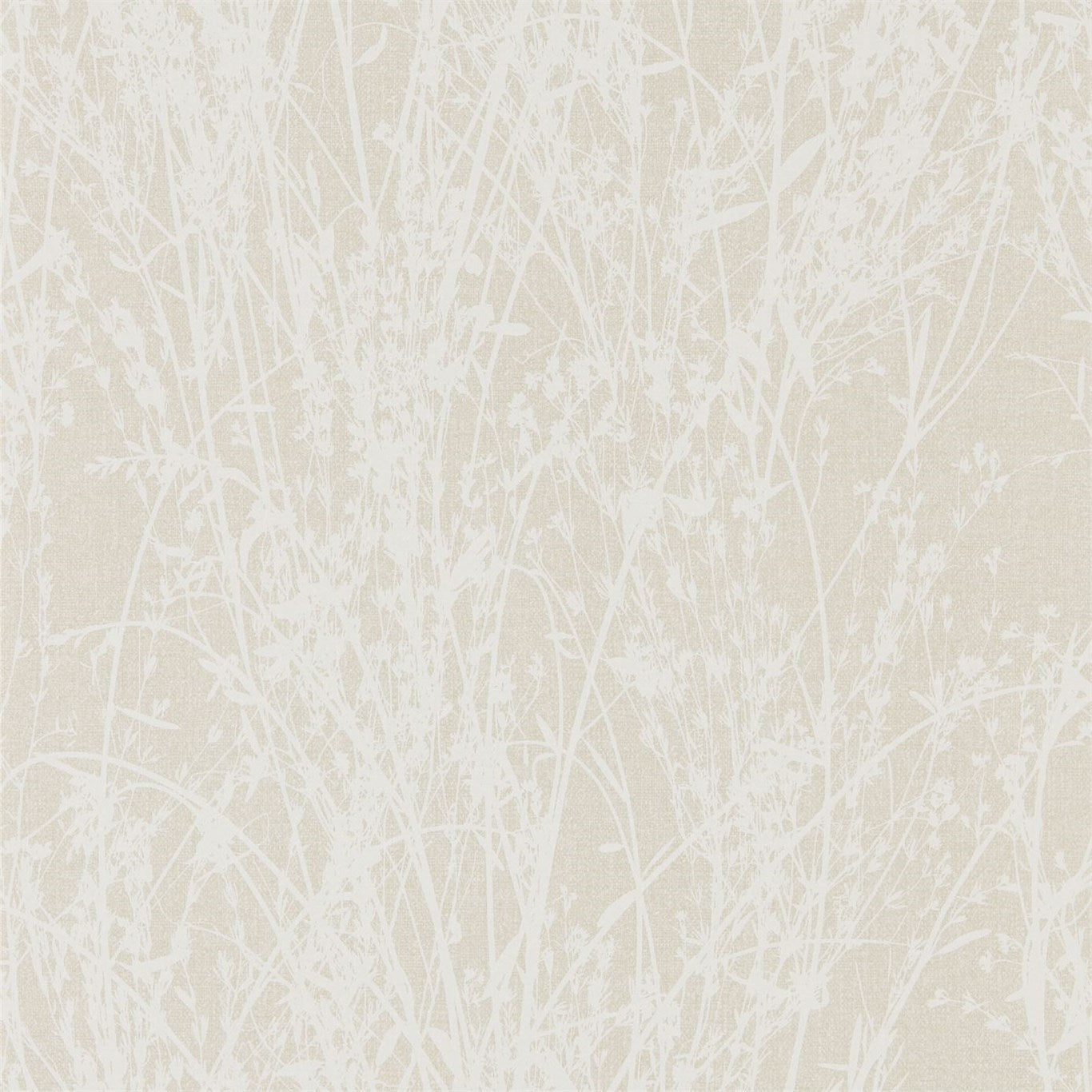 Meadow Canvas - White / Parchment