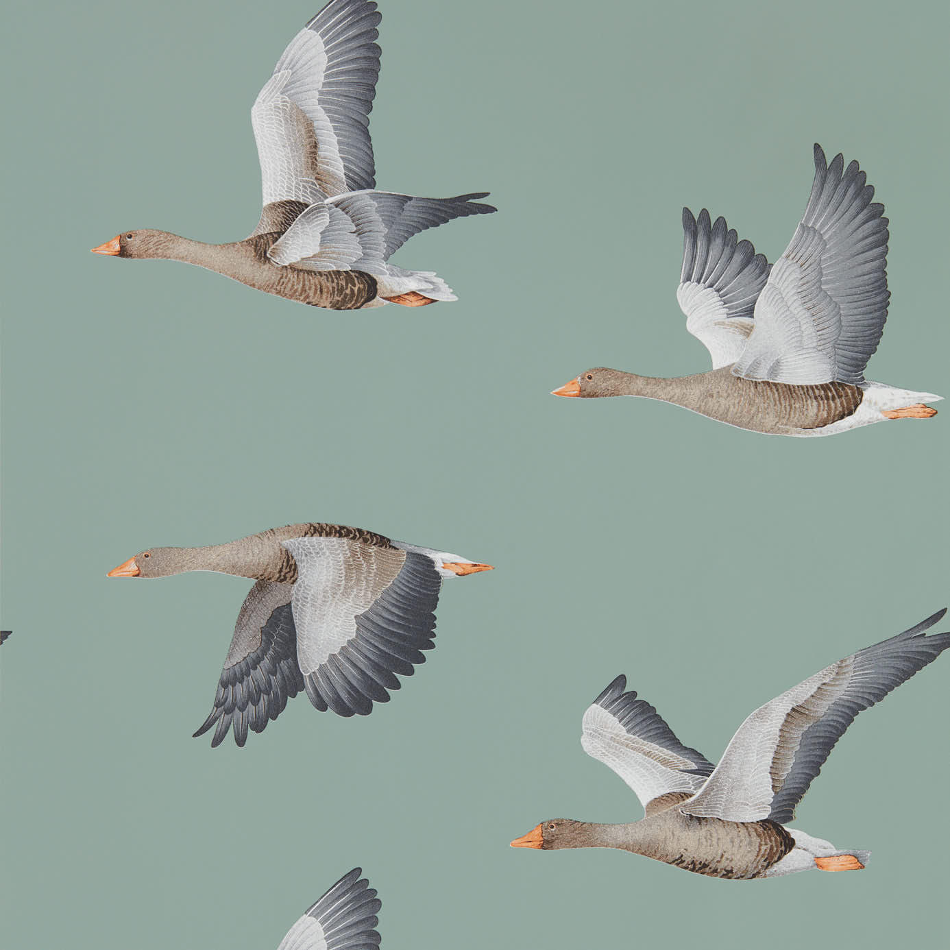 Elysian Geese (Wallpaper) - Blue Clay