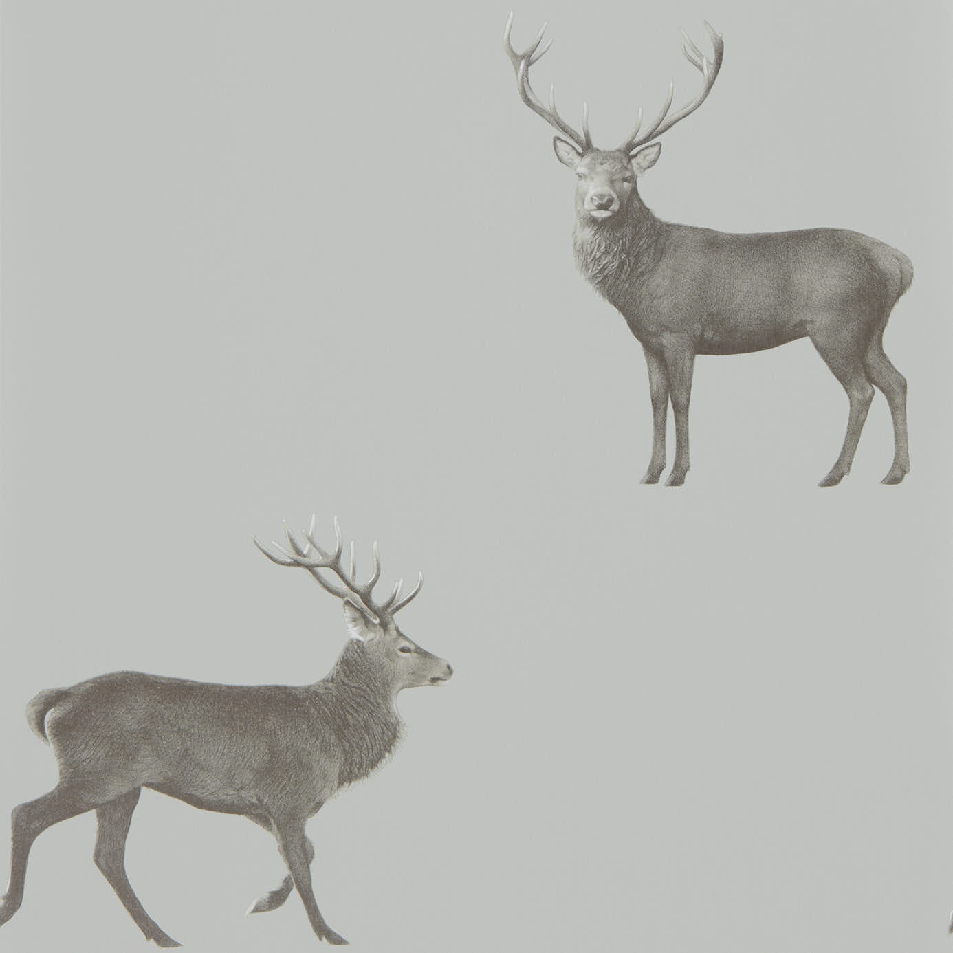 Evesham Deer (Wallpaper) - Silver Grey