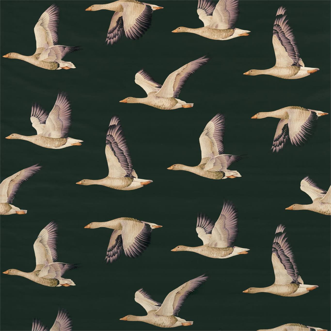 Elysian Geese - Forest / Fig