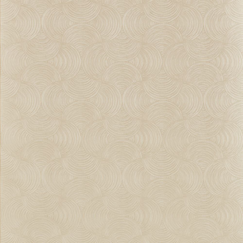 Meteore Sable / Argent