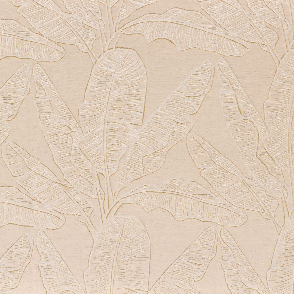 Cook Beige